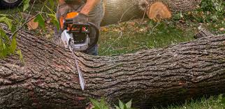 Best Lawn Watering Services  in Orinda, CA